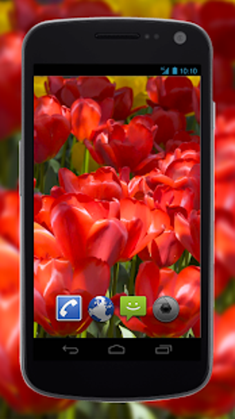 Image 0 for 4K Flower Glade Video Liv…