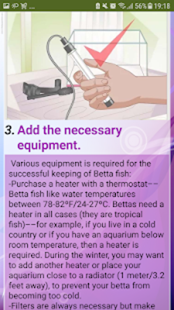 Image 3 for Betta Fish