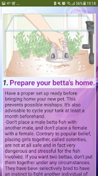 Image 1 for Betta Fish
