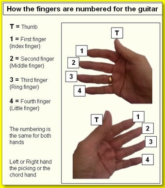 Image 3 for Finger Picking Guitar Int…