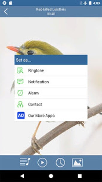 Image 3 for Bird Sound Ringtones & Wa…