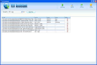 Imagen 1 para FLV Assistant