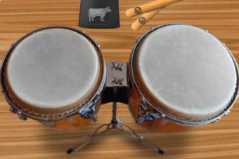 Imagen 0 para Congas