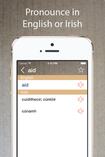 Image 0 for Irish English Dictionary …