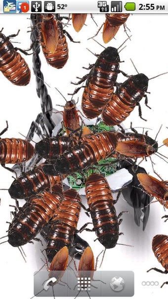 Imagen 1 para Infestation Free Live Wal…