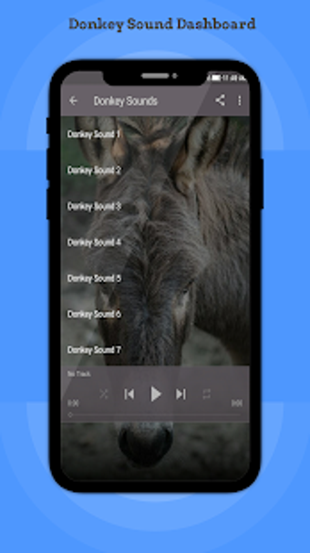 Imagen 0 para Donkey Sounds