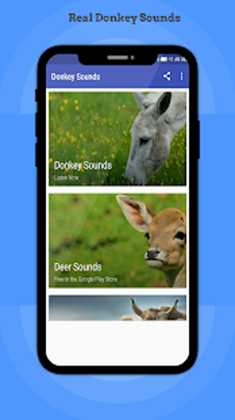 Imagen 2 para Donkey Sounds