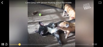 Image 2 for JukinVideo