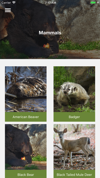 Image 0 for CALM Zoo