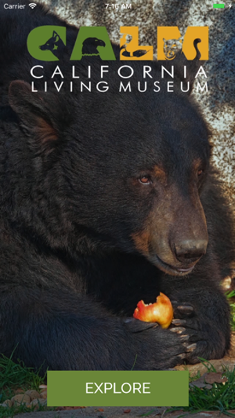 Image 0 for CALM Zoo