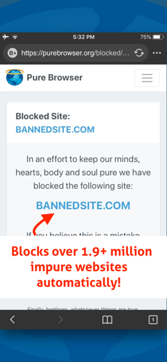 Image 0 for Pure Browser