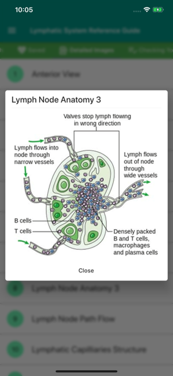 Image 2 for Lymphatic System Referenc…