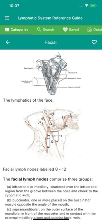 Image 3 for Lymphatic System Referenc…