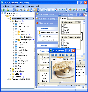 Image 0 for MS SQL Code Factory