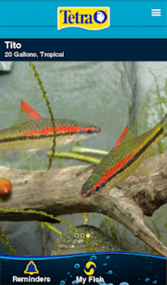 Image 0 for Tetra MyAquarium