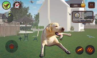 Image 1 for Labrador Simulator