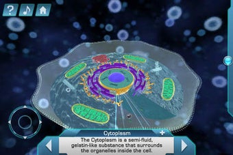 Image 0 for Cell World
