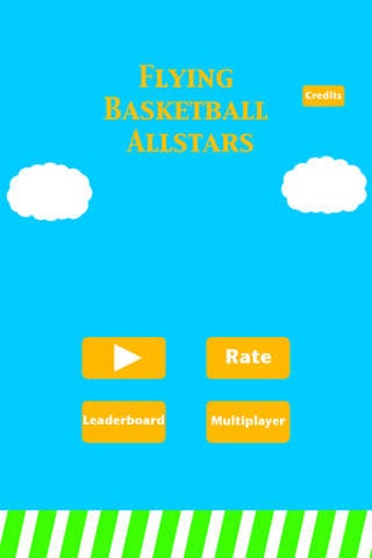 Image 0 for Flying Basketball Allstar…