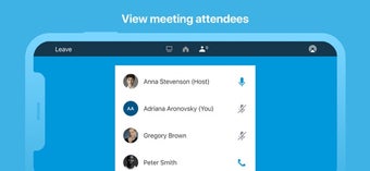 Imagen 1 para AnyMeeting Video Conferen…