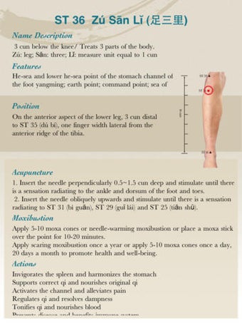 Imagen 0 para Anatomical Illustration o…