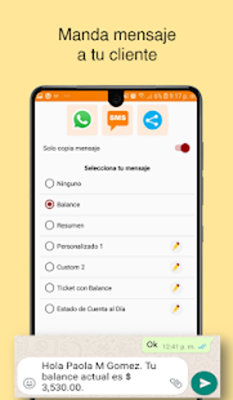 Image 3 for DebtCollectorApp