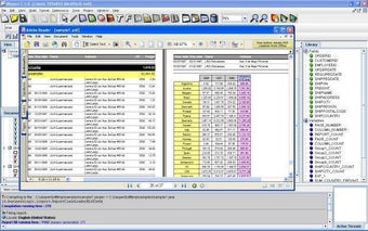 Imagen 1 para iReport Designer Portable