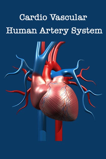 Image 0 for Artery System: CardioVasc…
