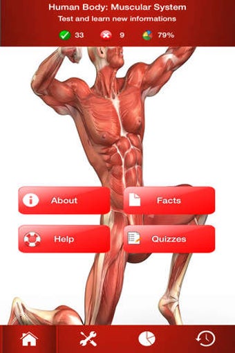 Image 0 for Human Body : Muscular Sys…