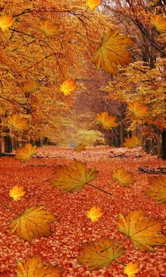 Imagen 1 para Fall Live Wallpaper