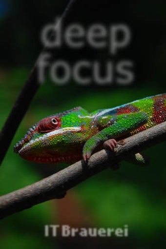 Image 0 for deep focus