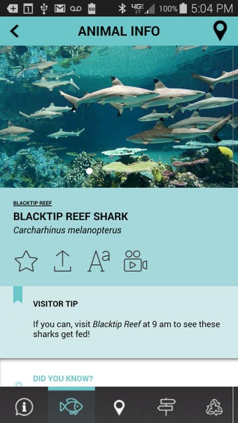 Imagen 3 para The National Aquarium