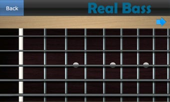 Image 0 for Real Bass - Playing bass …