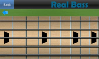 Image 2 for Real Bass - Playing bass …