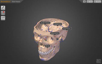Image 0 for BoneBox - Skull Viewer