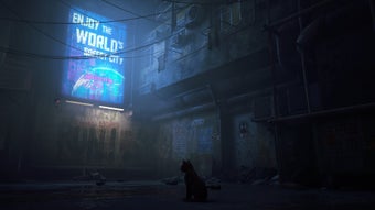 Image 0 for Stray