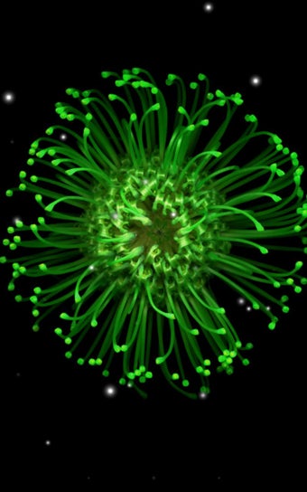 Imagen 1 para Galaxy Flowers Live Wallp…