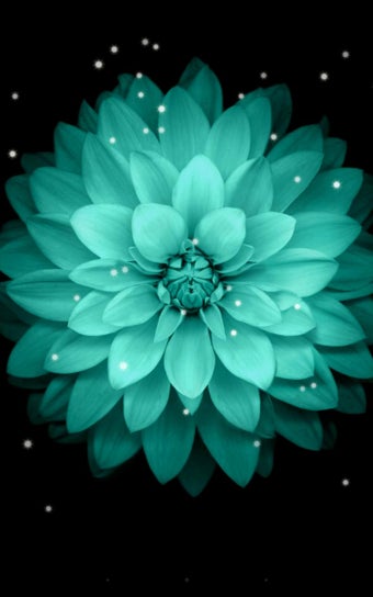 Image 2 for Galaxy Flowers Live Wallp…