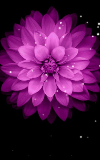 Imagen 2 para Galaxy Flowers Live Wallp…