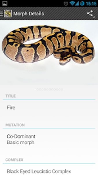 Imagen 2 para WOB Morphlist