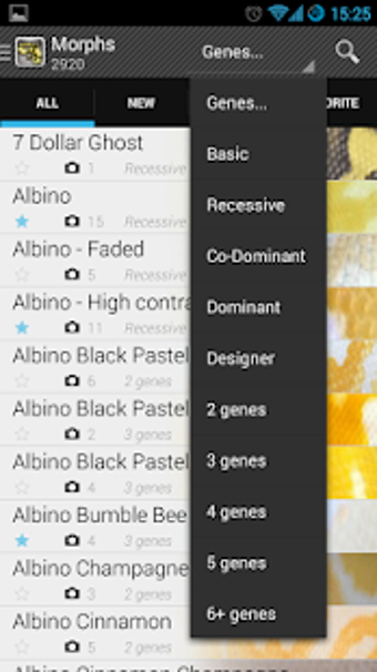 Imagen 1 para WOB Morphlist