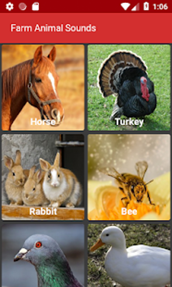 Image 1 for Farm Animal Sounds
