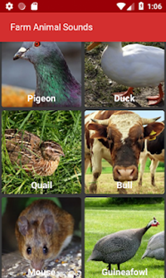 Image 3 for Farm Animal Sounds