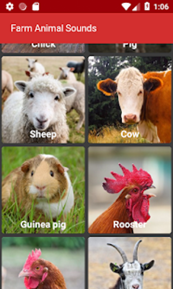 Image 0 for Farm Animal Sounds
