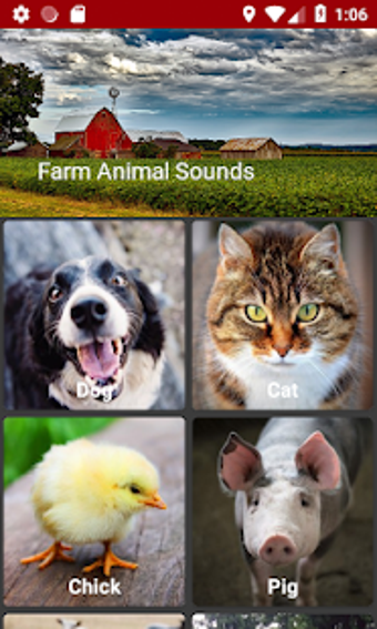 Image 2 for Farm Animal Sounds