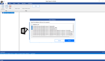 Image 2 for Stellar Repair for MySQL