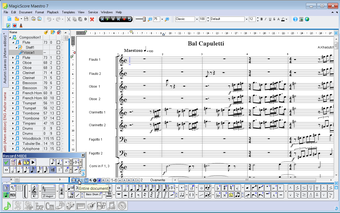 Image 2 for MagicScore Maestro