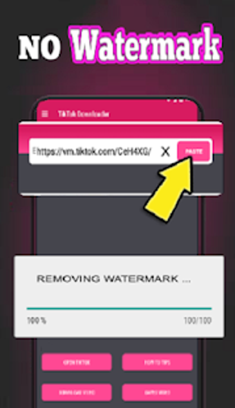 Imagen 2 para Downloader for Tik Tok Vi…