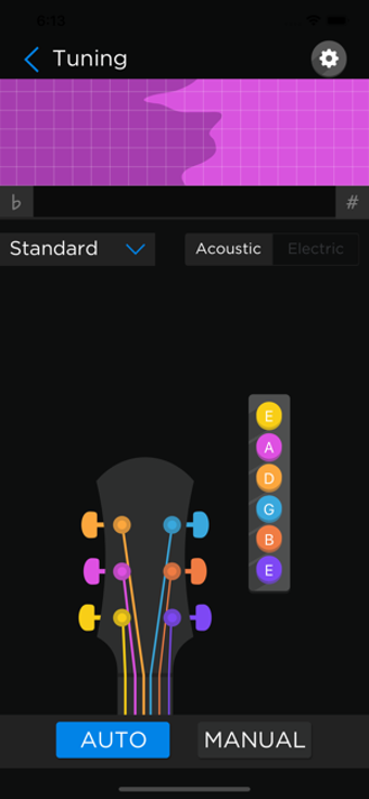 Image 2 for Fret Zealot