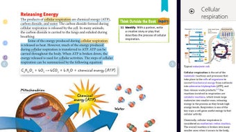 Image 0 for Kno Textbooks for Windows…