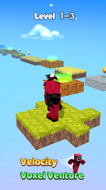 Image 0 for velocity voxel venture